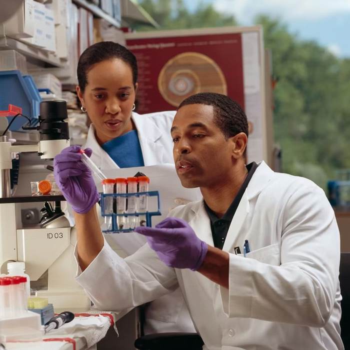 Laboratory scientists
