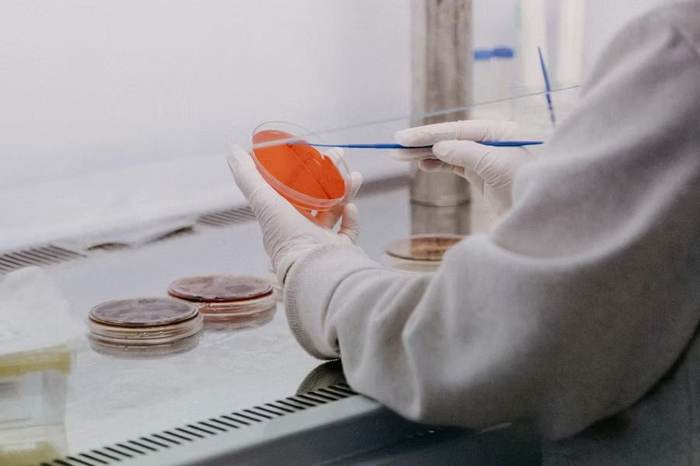 Building material analysis and testing